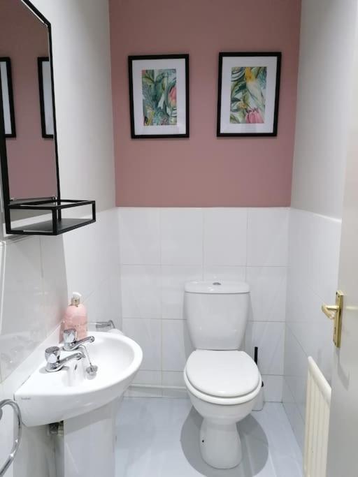 Stunning 3 Bedroom Townhouse In The Heart Of City Belfast Eksteriør bilde